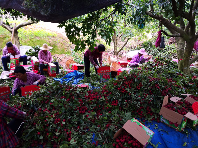 正妹av
公司积极开展消费扶贫，助力脱贫攻坚1.jpg